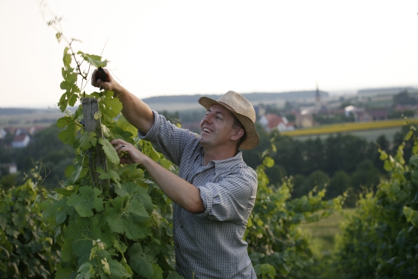 Hotel Wörners Schloss plus Weingut & Wellness (Prichsenstadt)